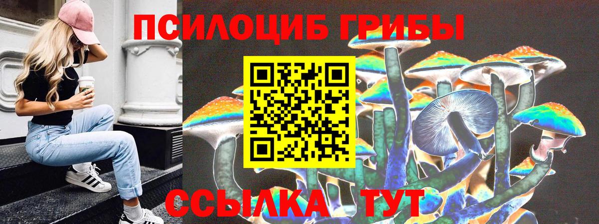 Псилоцибиновые грибы мухоморы  Галлюциногенные грибы мицелий  Коломна  Вход с VPN 